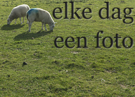 een deel van een van de recent gepubliceerde foto's, klik om naar elke dag een foto te gaan