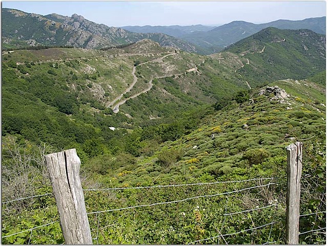 20060609-7282