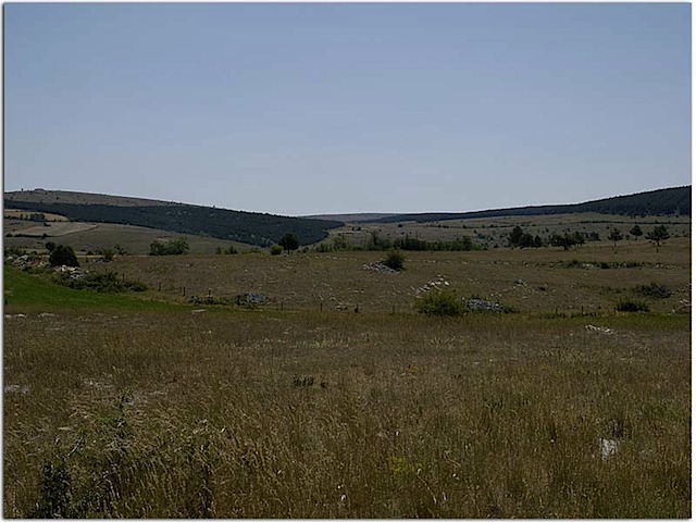 20060615-7643