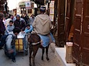 in Fès