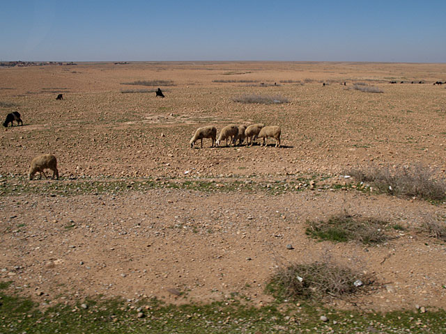 20070302-0327