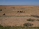 onderweg van Beni Mellal naar Marrakech