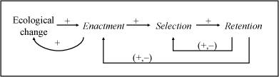 fig 3-1 Weick’s enaction, selection, retention-model